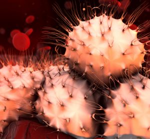 Cancer cells metastising
