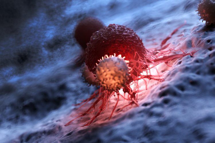 cancer cell in red being attacked by a white T cell