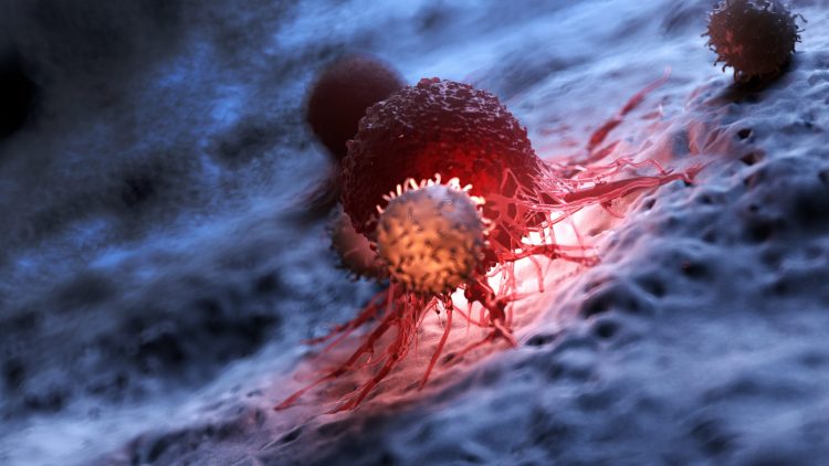 cancer cell in red being attacked by a white T cell