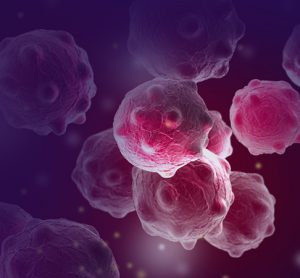 Cancer cells
