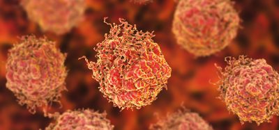 Cancer cells