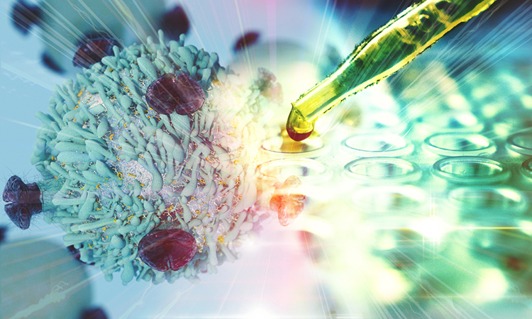 Cancer immunotherapies