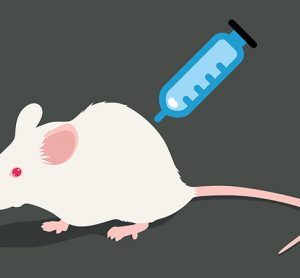 Mouse and vaccine