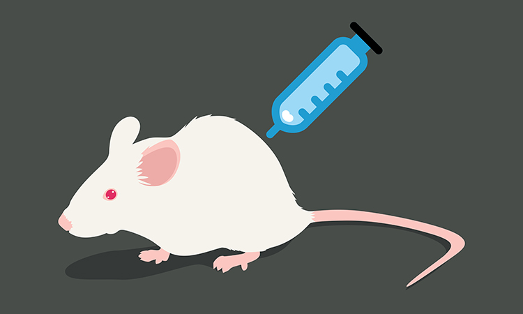 Mouse and vaccine