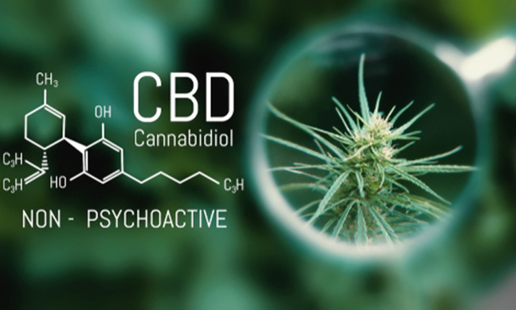 Image showing Cannabidiol analogue structure