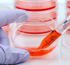 Lab model to study blood-brain barrier