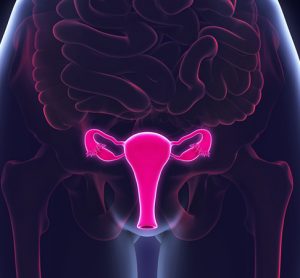 Cervical cancer organoids