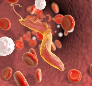 Chagas disease