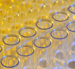 vitro
