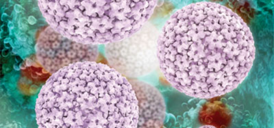 Cisbio Bioassays Biomarkers & cytokines – quantify intracellular and released proteins