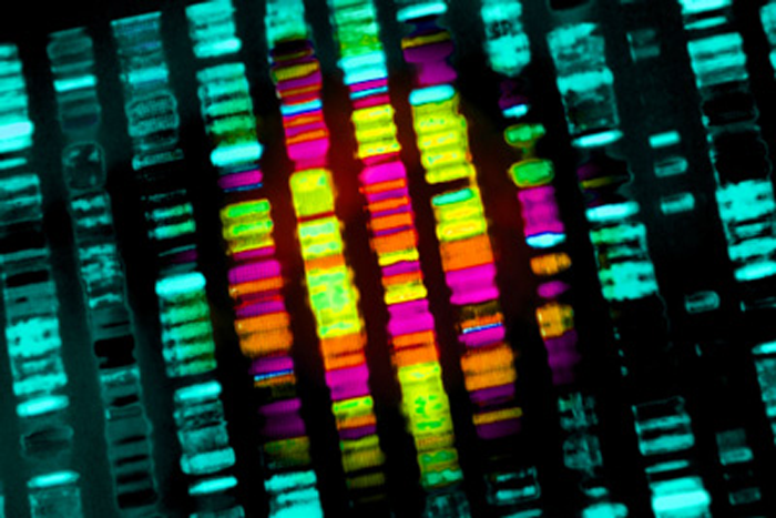 Cisbio Bioassays EPIgeneous™ biochemical and cellular assays