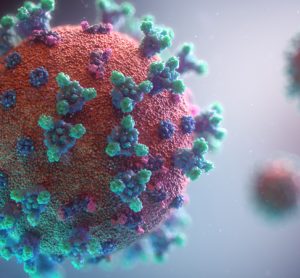 Coronavirus surface