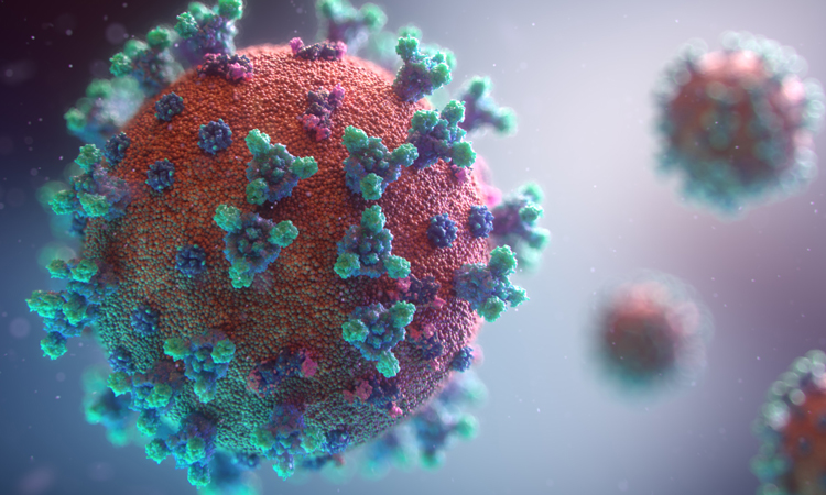 Coronavirus surface