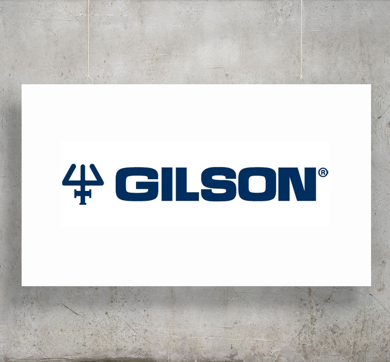 gilson content hub