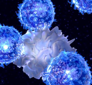 Cell therapy for cancer