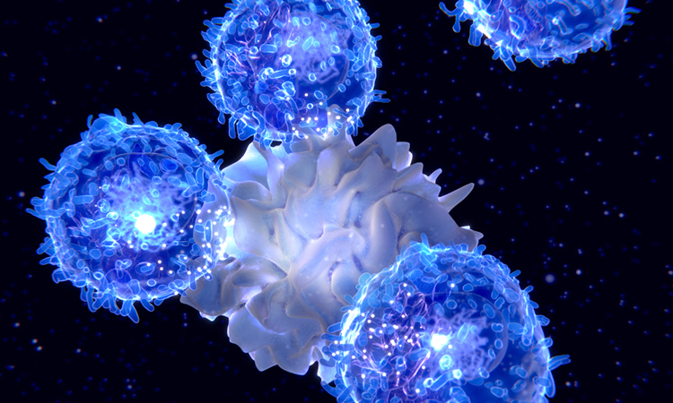 Cell therapy for cancer