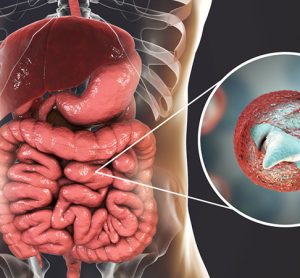 Cryptosporidium in gut