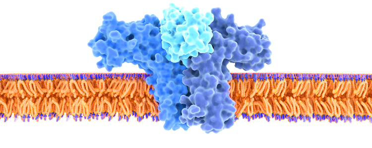 Cytokines