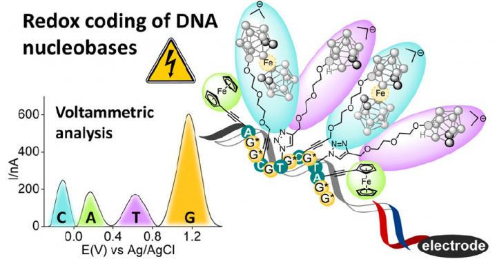 DNA sequencing