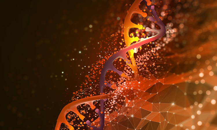 DNA and CRISPR screens