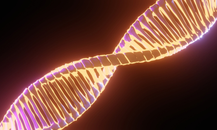 Image showing 3D render of DNA