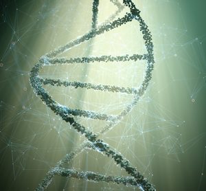 Synthetic biology DNA