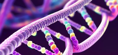 DNA