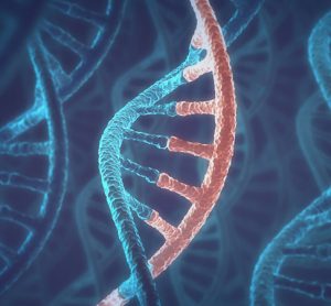 DNA and gene expression