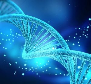 DNA and gene editing