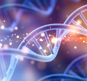 CRISPRoff and DNA
