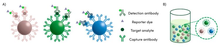 Bead-based multiplex immunoassays