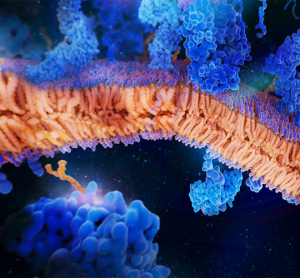 Cellular Thermal Shift Assays - bringing relevant target engagement to your drug discovery workflow