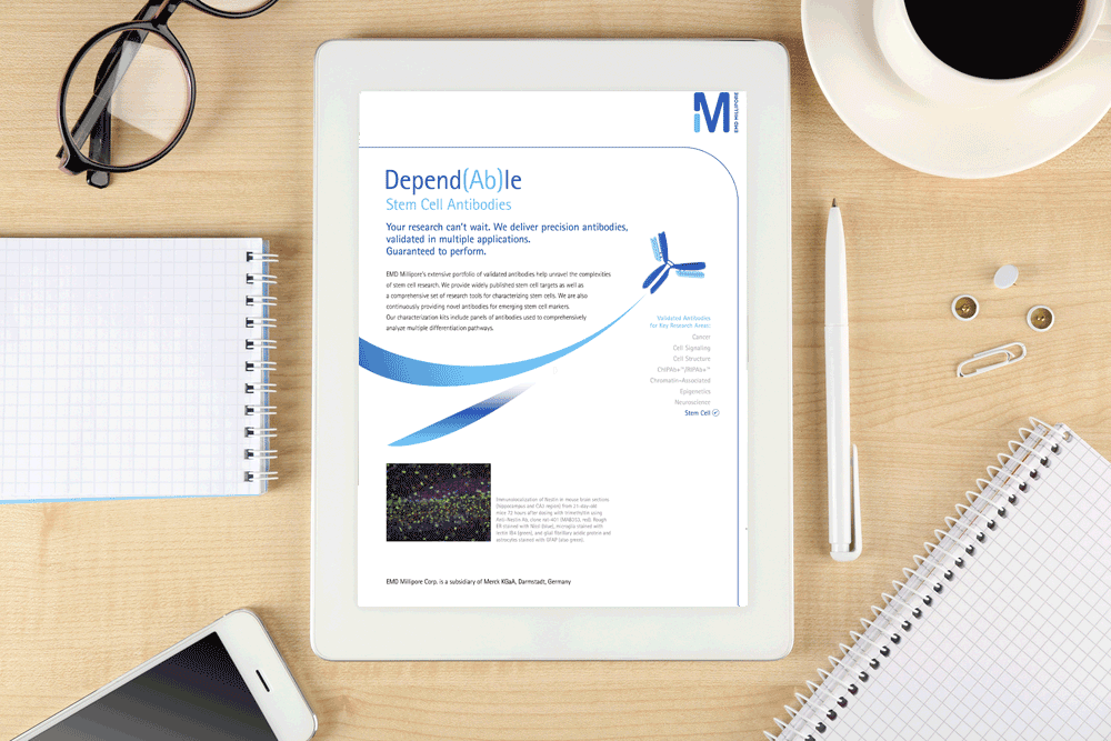 Depend(Ab)le-–-Stem-Cell-Antibodies