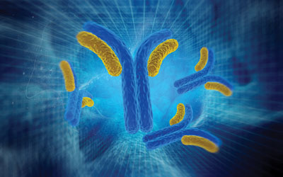 Developing antibody therapeutics