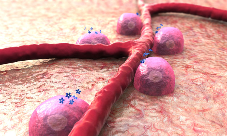 Diabetes-related proteins examined for the first time in high resolution