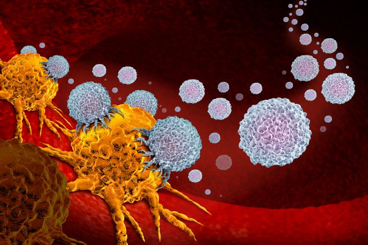 cancer cell in yellow being attacked by white blobs - cancer drug/cell therapy