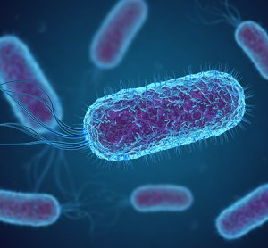 Synthetic biology using E. coli