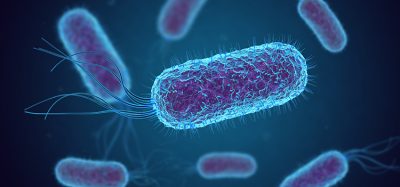 Synthetic biology using E. coli