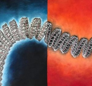 A coiling protein 'shell,' called a nucleocapsid, shown here, surrounds Ebola's genetic material, which consists of single-strand RNA. University of Delaware researchers are simulating the way molecules of this nucleocapsid move and interact, atom by atom, to understand their functions and expose targets for anti-viral treatments [Credit: Juan Perilla Laboratory].