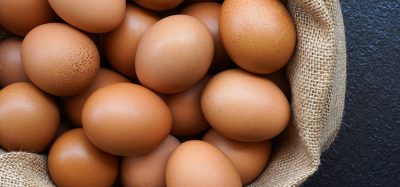 Eggs to produce SARS-CoV-2 antibodies