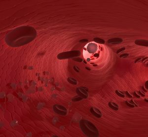 Vascular endothelium and CRISPR