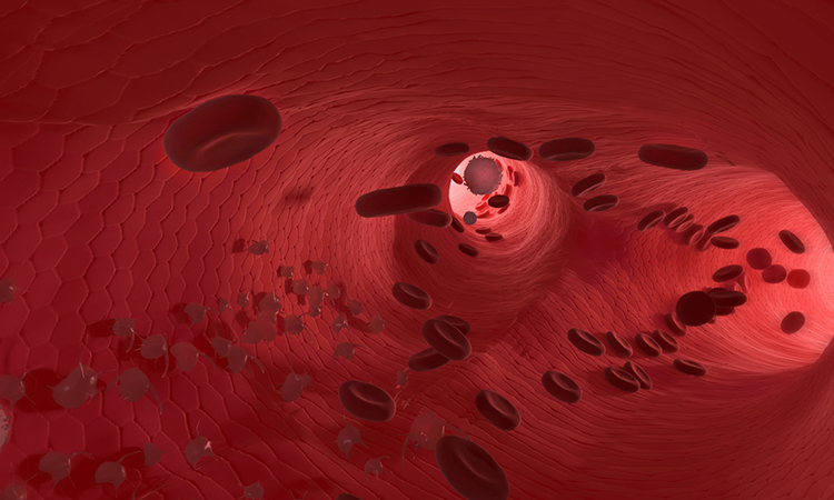 Vascular endothelium and CRISPR