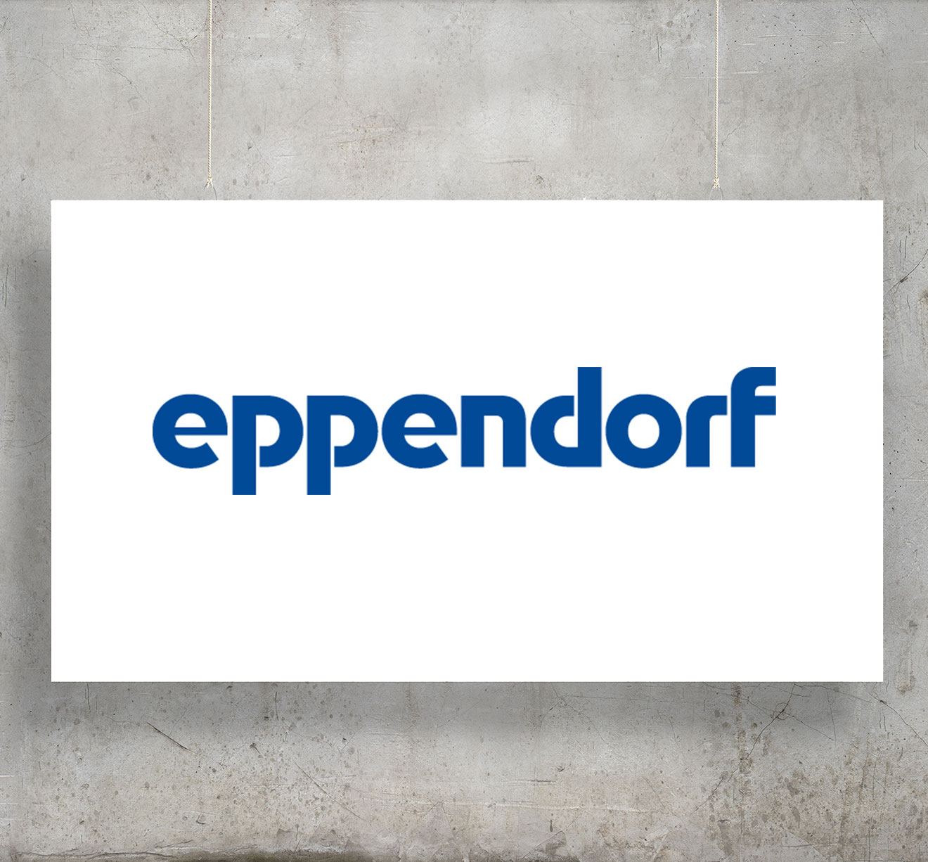 Eppendorf Logo