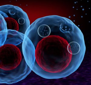 Exosomes