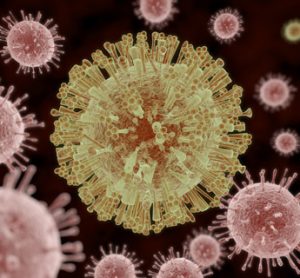 Experimental hepatitis C drug slows Zika virus infection in mice