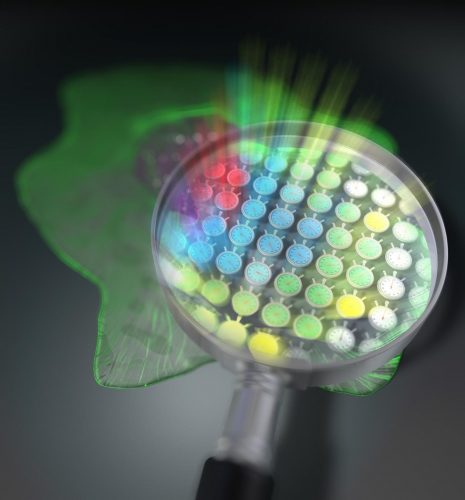 Fluorescence "lifetime" microscopy technique. 2D arrangement of 44,400 light stopwatches enables scan-less fluorescence lifetime imaging [Credit: Tokushima University].