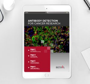 ebook: Antibody detection for cancer research