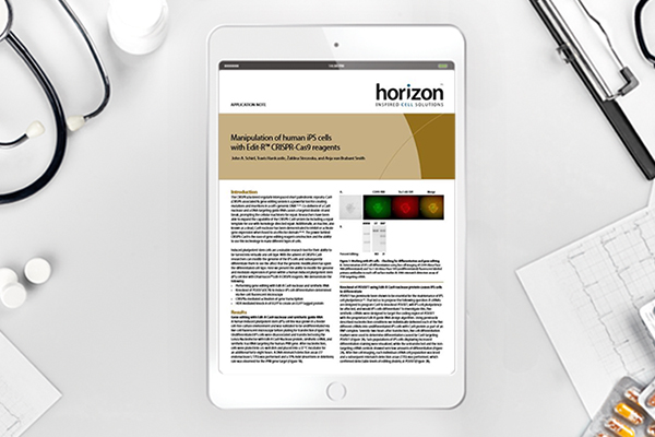 Human iPS cells modified with Edit-R™ CRISPR-Cas9 reagents