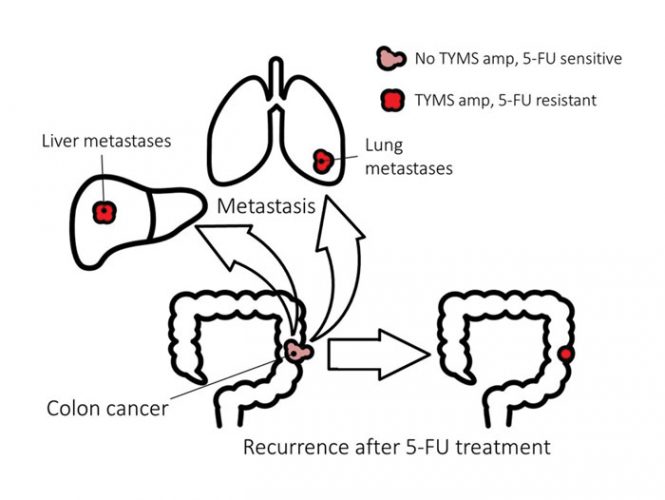 Figure-1-resistance