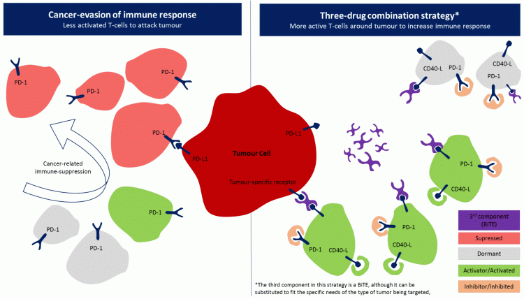 Figure 2: Example of a three-drug combination strategy using a BiTE as a third component